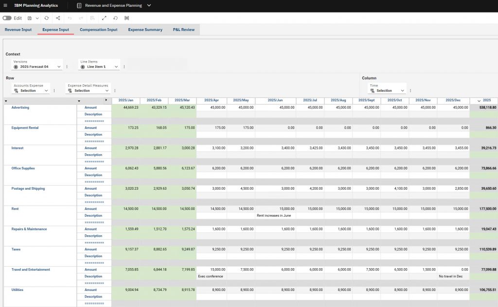 Rev and Exp Planning Input